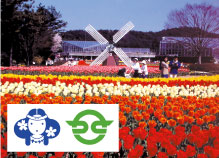 兵庫県 加西市役所