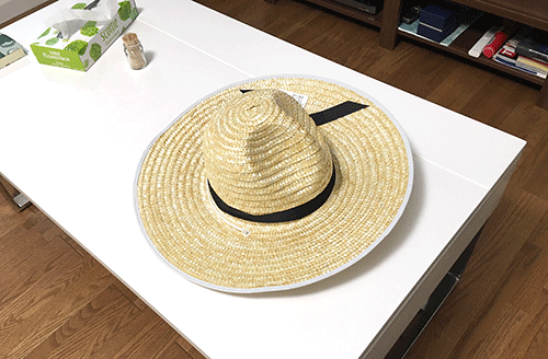 麦藁帽子