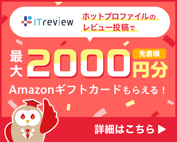 ITレビューキャンペーン