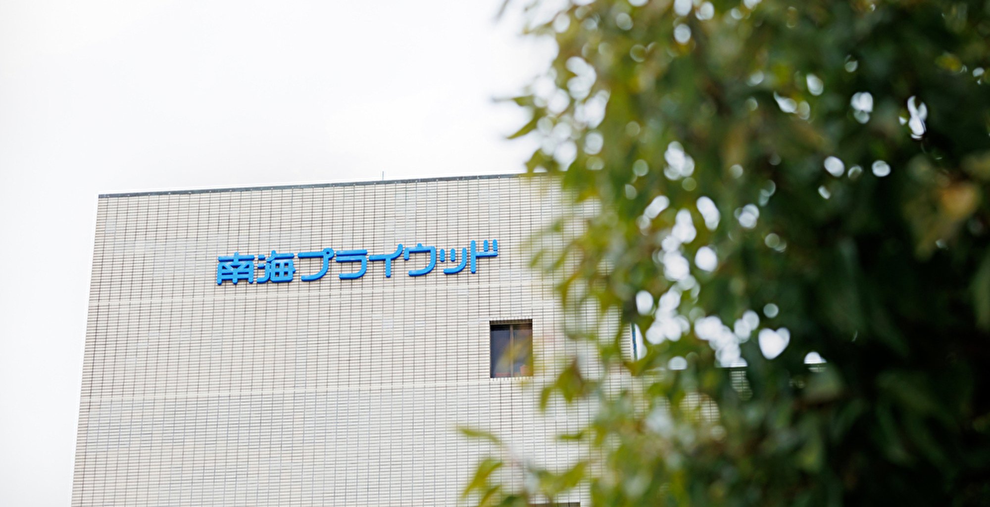 インタビュー本文 画像
