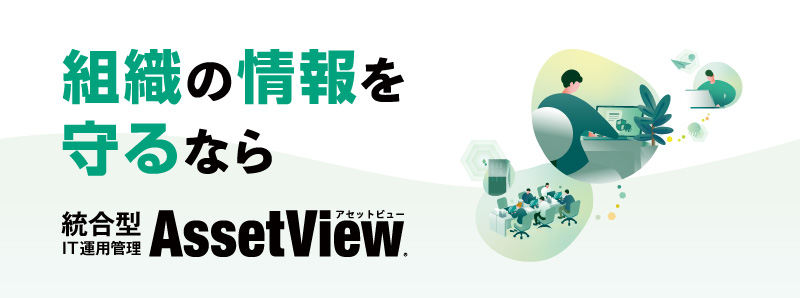 AssetView