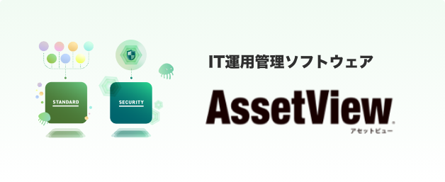 AssetsView