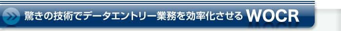 驚きの技術でデータエントリー業務を効率化させるWOCR
