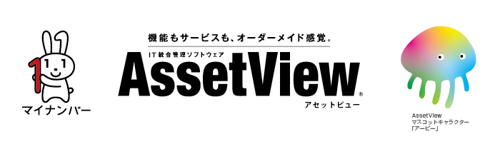 AssetView