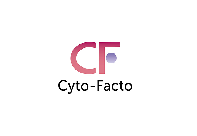 株式会社サイト-ファクト