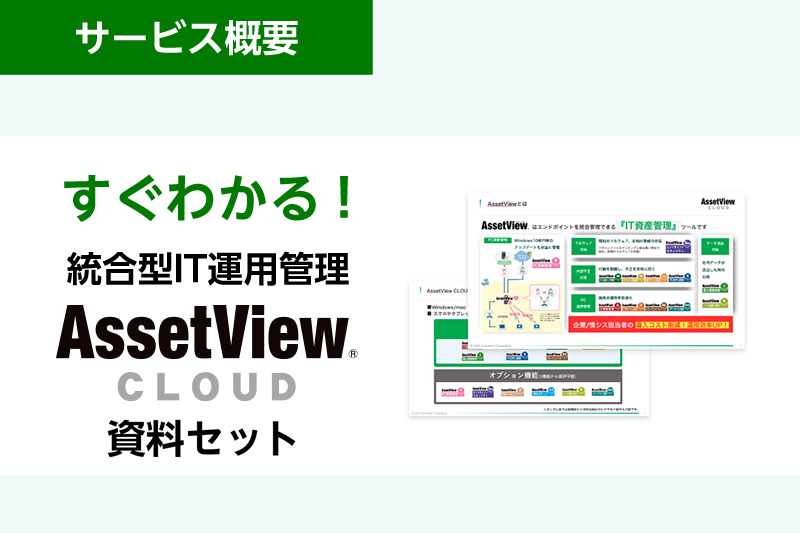 大企業向け クラウドソリューション 
AssetView CLOUD